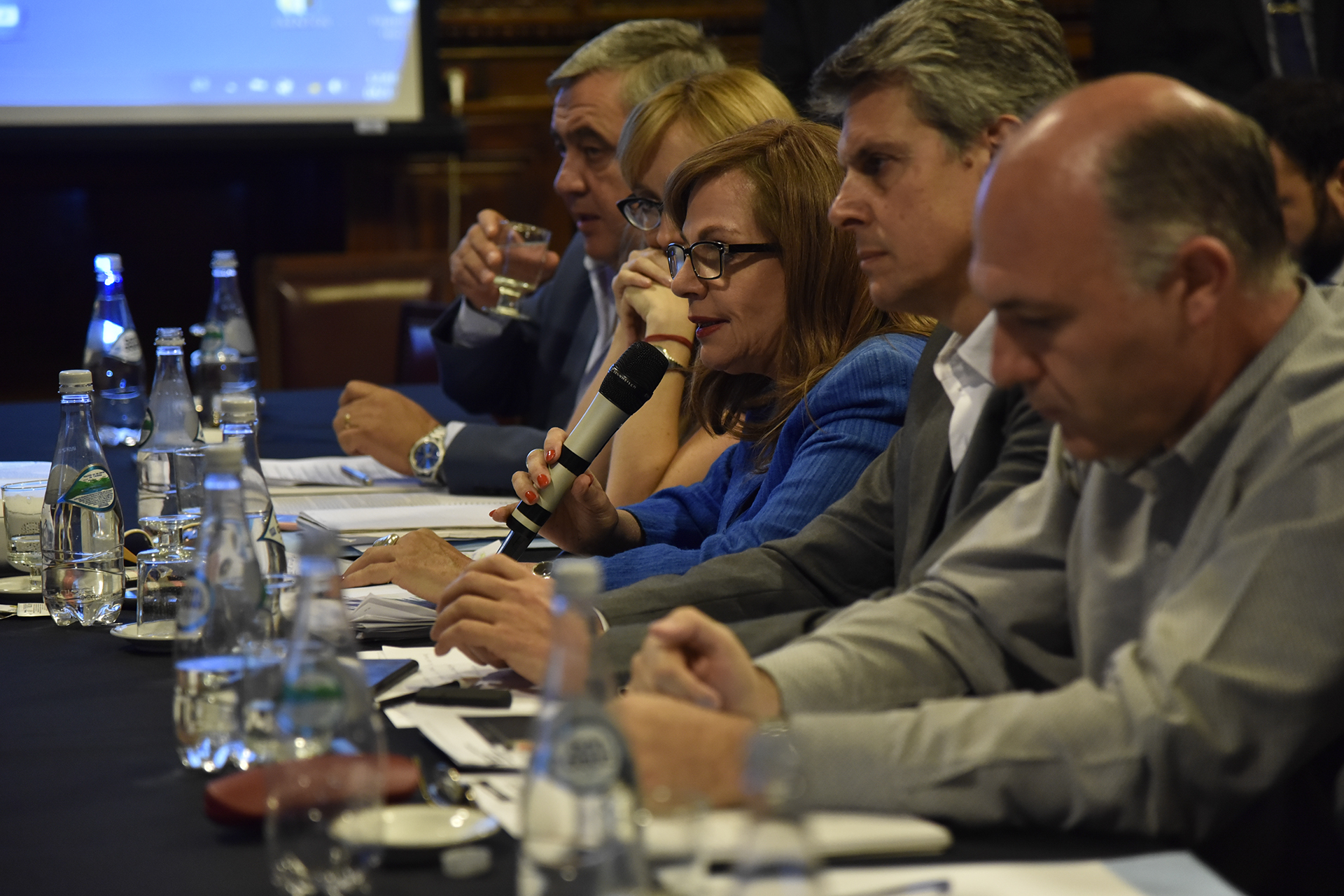 Galeria de imagenes de la noticia TRAS EL HALLAZGO DEL ARA SAN JUAN, AGUAD EXPUSO ANTE LA BICAMERAL INVESTIGADORA